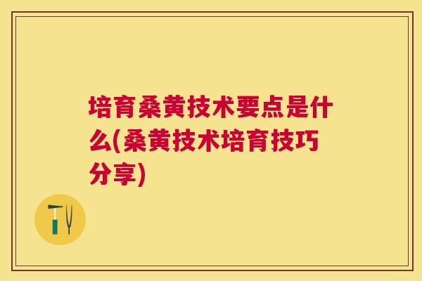 培育桑黄技术要点是什么(桑黄技术培育技巧分享)