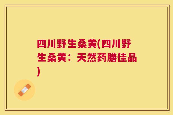 四川野生桑黄(四川野生桑黄：天然药膳佳品)