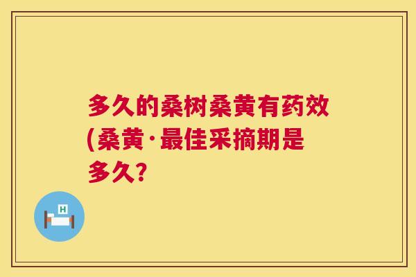多久的桑树桑黄有(桑黄·佳采摘期是多久？