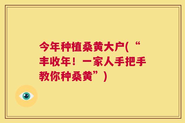 今年种植桑黄大户(“丰收年！一家人手把手教你种桑黄”)