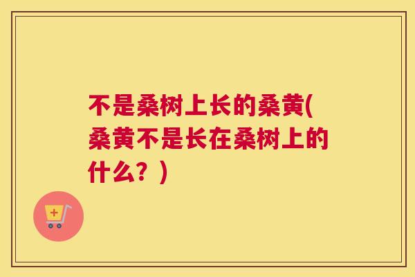 不是桑树上长的桑黄(桑黄不是长在桑树上的什么？)