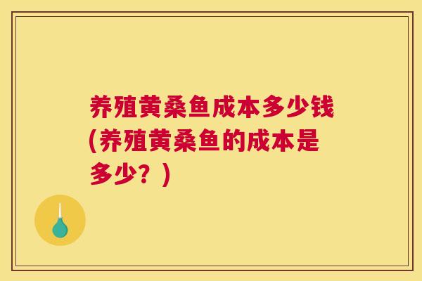 养殖黄桑鱼成本多少钱(养殖黄桑鱼的成本是多少？)