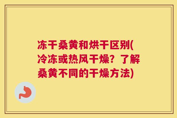 冻干桑黄和烘干区别(冷冻或热风干燥？了解桑黄不同的干燥方法)