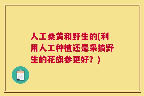 人工桑黄和野生的(利用人工种植还是采摘野生的花旗参更好？)