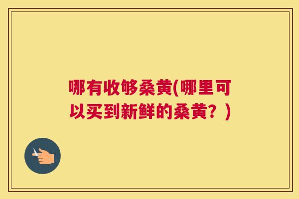 哪有收够桑黄(哪里可以买到新鲜的桑黄？)