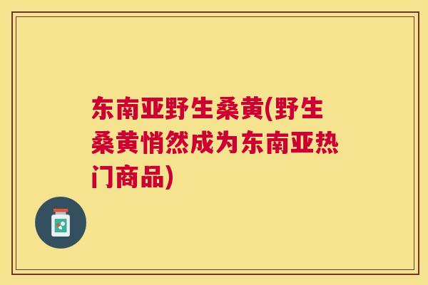 东南亚野生桑黄(野生桑黄悄然成为东南亚热门商品)