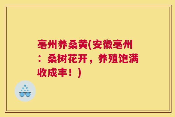 亳州养桑黄(安徽亳州：桑树花开，养殖饱满收成丰！)