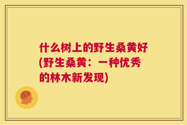 什么树上的野生桑黄好(野生桑黄：一种优秀的林木新发现)