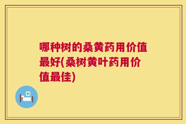 哪种树的桑黄药用价值好(桑树黄叶药用价值佳)