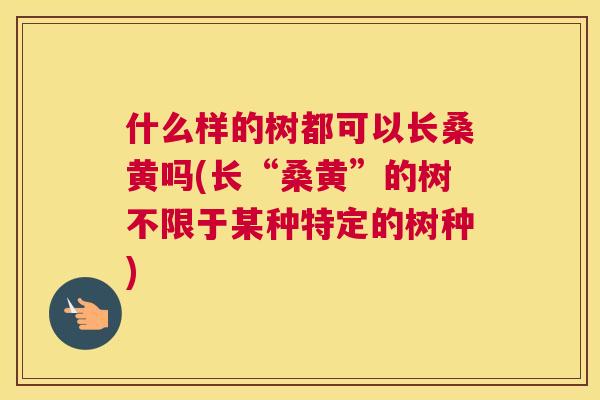 什么样的树都可以长桑黄吗(长“桑黄”的树不限于某种特定的树种)