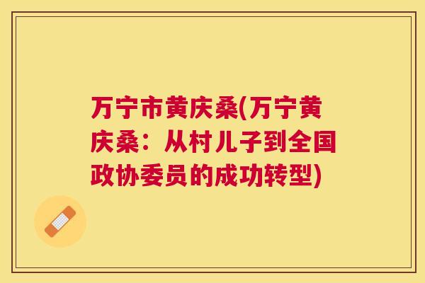 万宁市黄庆桑(万宁黄庆桑：从村儿子到全国政协委员的成功转型)