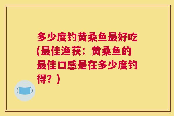 多少度钓黄桑鱼好吃(佳渔获：黄桑鱼的佳口感是在多少度钓得？)
