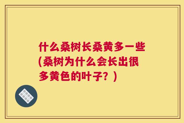 什么桑树长桑黄多一些(桑树为什么会长出很多黄色的叶子？)