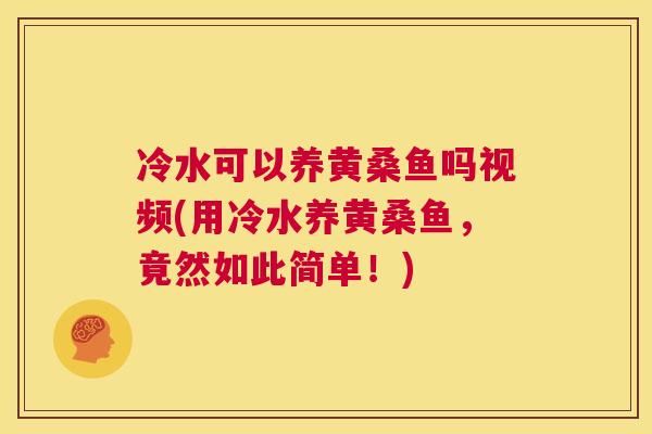 冷水可以养黄桑鱼吗视频(用冷水养黄桑鱼，竟然如此简单！)