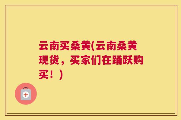 云南买桑黄(云南桑黄现货，买家们在踊跃购买！)