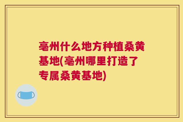 亳州什么地方种植桑黄基地(亳州哪里打造了专属桑黄基地)