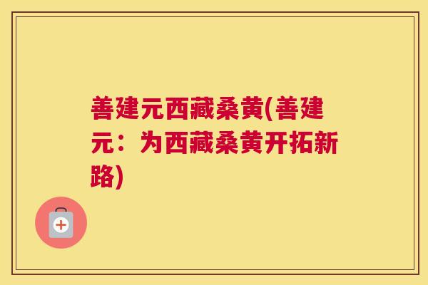 善建元西藏桑黄(善建元：为西藏桑黄开拓新路)
