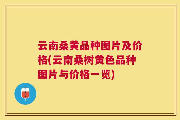 云南桑黄品种图片及价格(云南桑树黄色品种图片与价格一览)