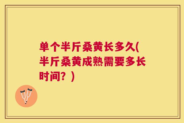 单个半斤桑黄长多久(半斤桑黄成熟需要多长时间？)