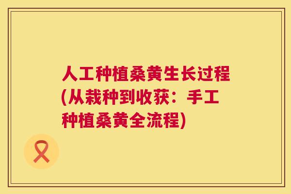 人工种植桑黄生长过程(从栽种到收获：手工种植桑黄全流程)