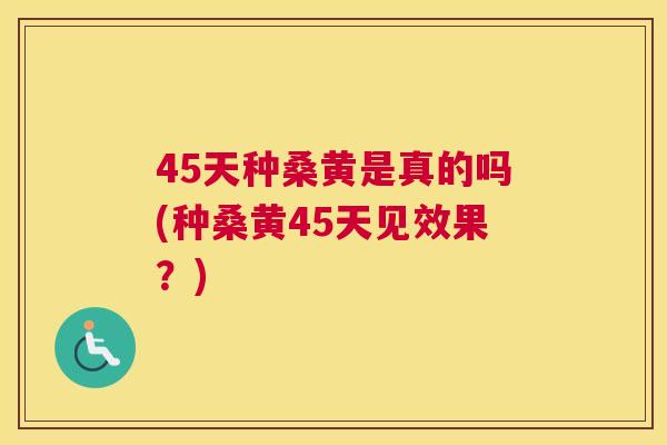 45天种桑黄是真的吗(种桑黄45天见效果？)