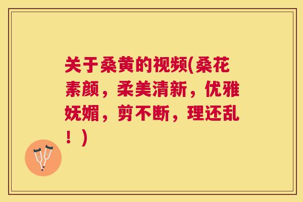 关于桑黄的视频(桑花素颜，柔美清新，优雅妩媚，剪不断，理还乱！)