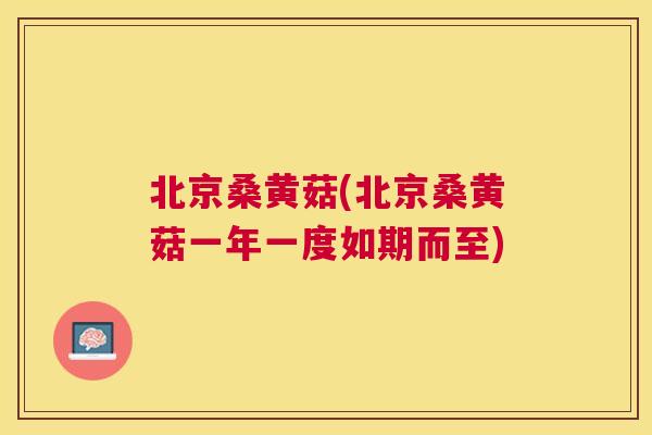 北京桑黄菇(北京桑黄菇一年一度如期而至)