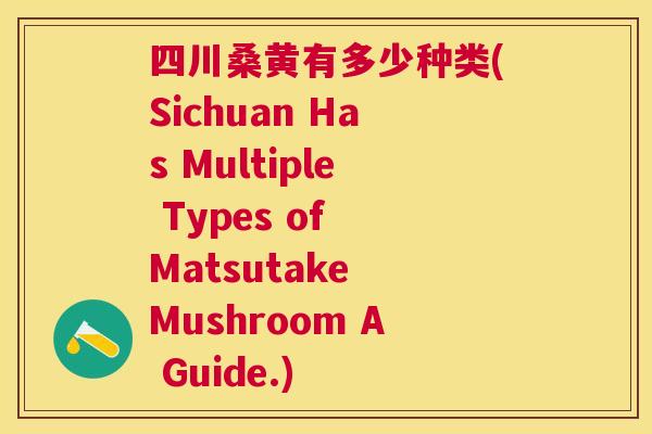 四川桑黄有多少种类(Sichuan Has Multiple Types of Matsutake Mushroom A Guide.) 四川桑黄有多少种类(Sichuan Has Multiple Types of Matsutake Mushroom A Guide.)