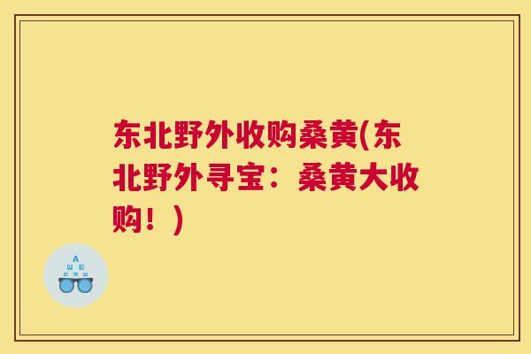 东北野外收购桑黄(东北野外寻宝：桑黄大收购！)