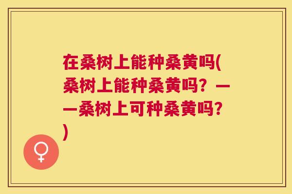 在桑树上能种桑黄吗(桑树上能种桑黄吗？——桑树上可种桑黄吗？)