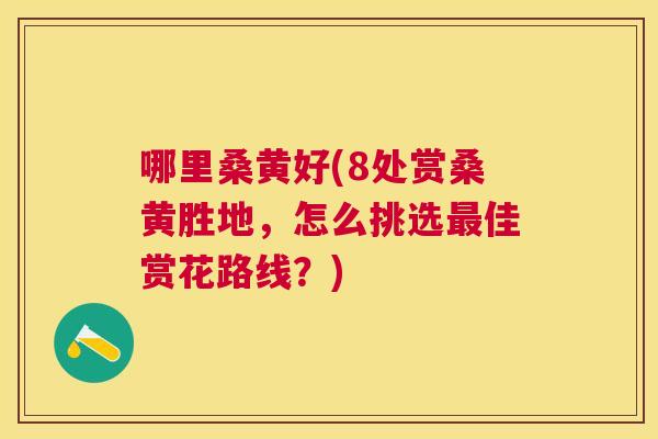 哪里桑黄好(8处赏桑黄胜地，怎么挑选佳赏花路线？)