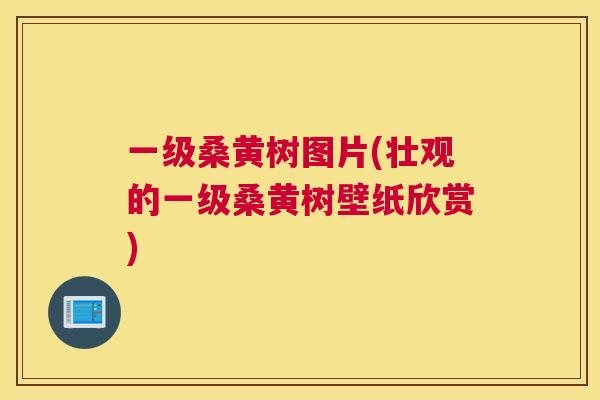 一级桑黄树图片(壮观的一级桑黄树壁纸欣赏)