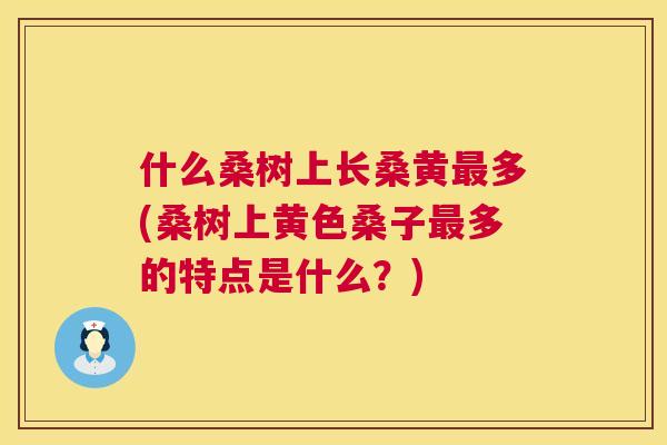 什么桑树上长桑黄多(桑树上黄色桑子多的特点是什么？)