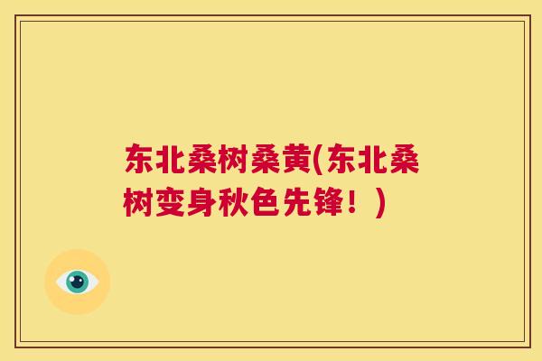 东北桑树桑黄(东北桑树变身秋色先锋！)