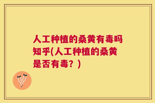 人工种植的桑黄有毒吗知乎(人工种植的桑黄是否有毒？)