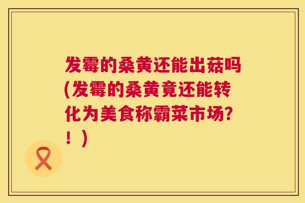 发霉的桑黄还能出菇吗(发霉的桑黄竟还能转化为美食称霸菜市场？！)