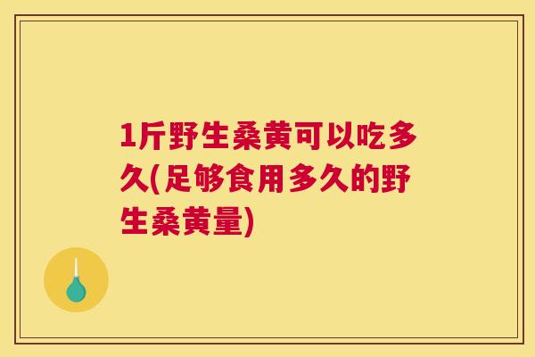 1斤野生桑黄可以吃多久(足够食用多久的野生桑黄量)