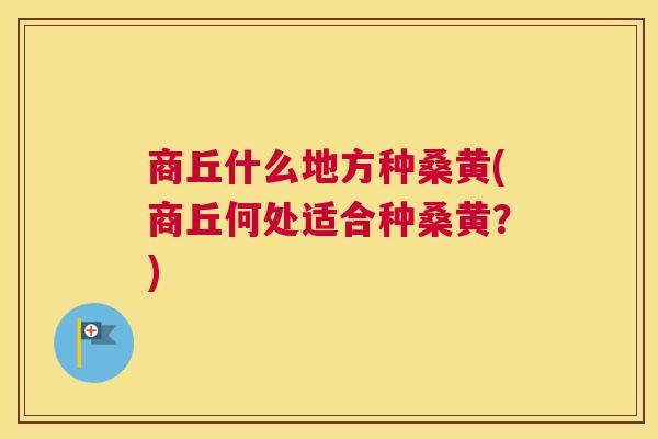 商丘什么地方种桑黄(商丘何处适合种桑黄？)