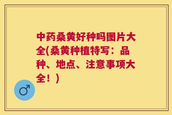 桑黄好种吗图片大全(桑黄种植特写：品种、地点、注意事项大全！)