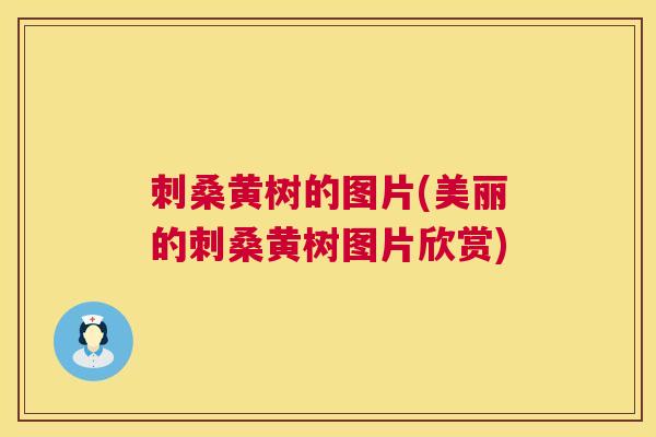 刺桑黄树的图片(美丽的刺桑黄树图片欣赏)