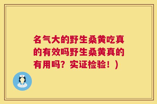 名气大的野生桑黄吃真的有效吗野生桑黄真的有用吗？实证检验！)