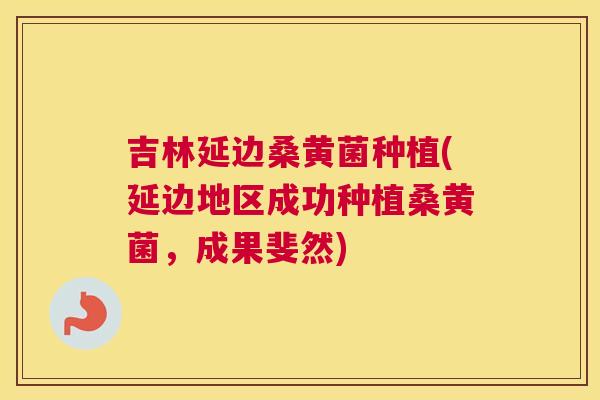 吉林延边桑黄菌种植(延边地区成功种植桑黄菌，成果斐然)