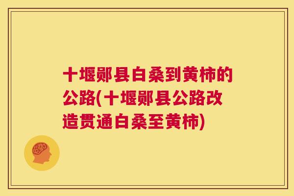 十堰郧县白桑到黄柿的公路(十堰郧县公路改造贯通白桑至黄柿)