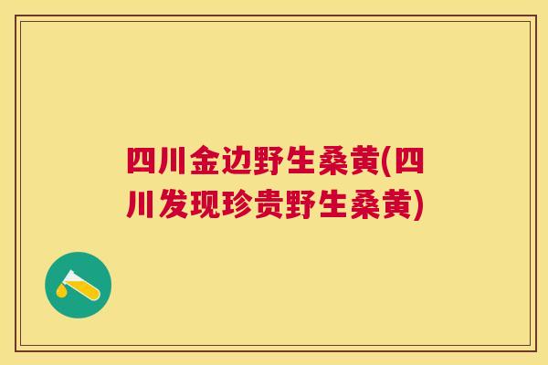 四川金边野生桑黄(四川发现珍贵野生桑黄)