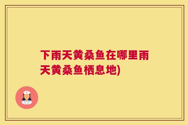 下雨天黄桑鱼在哪里雨天黄桑鱼栖息地)
