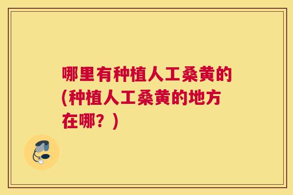 哪里有种植人工桑黄的(种植人工桑黄的地方在哪？)