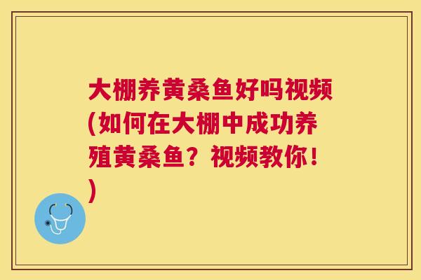大棚养黄桑鱼好吗视频(如何在大棚中成功养殖黄桑鱼？视频教你！)