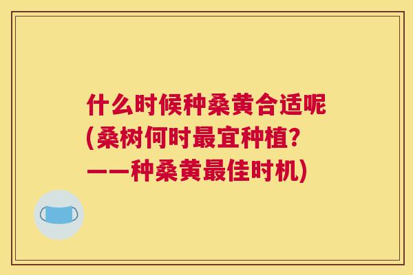 什么时候种桑黄合适呢(桑树何时宜种植？——种桑黄佳时机)