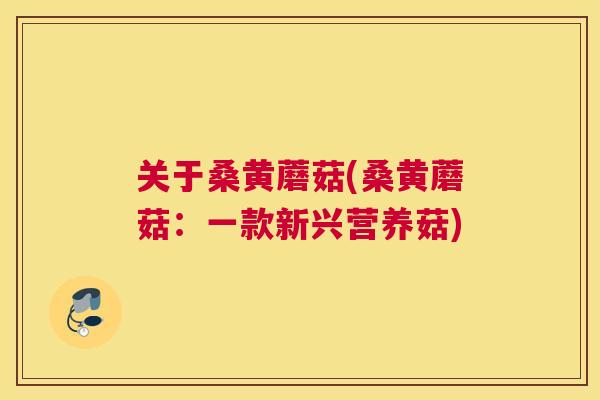 关于桑黄蘑菇(桑黄蘑菇：一款新兴营养菇)