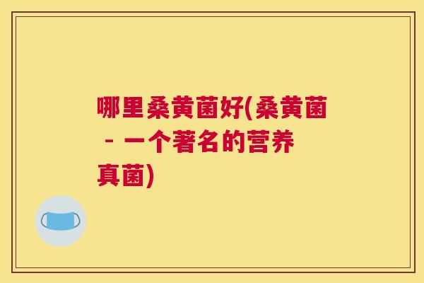 哪里桑黄菌好(桑黄菌 - 一个著名的营养真菌)